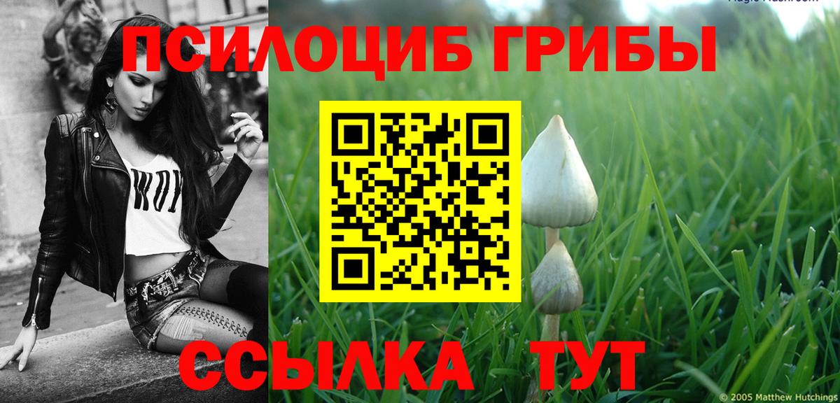 Псилоцибиновые грибы Magic Shrooms  Галлюциногенные грибы Psilocybine cubensis  Вход с VPN  Сергиев Посад 