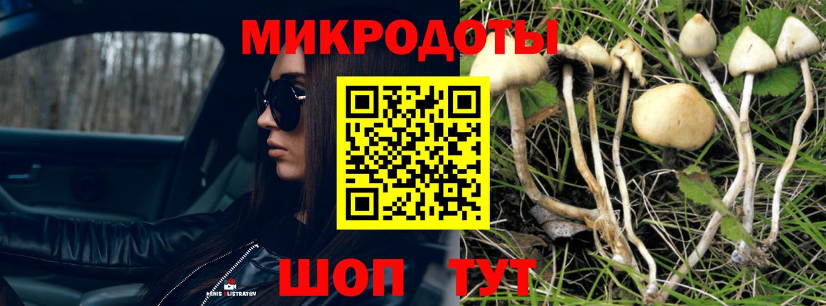 Псилоцибиновые грибы мицелий Сергиев Посад